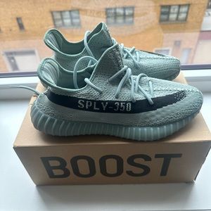 Yeezy Salt Size 10